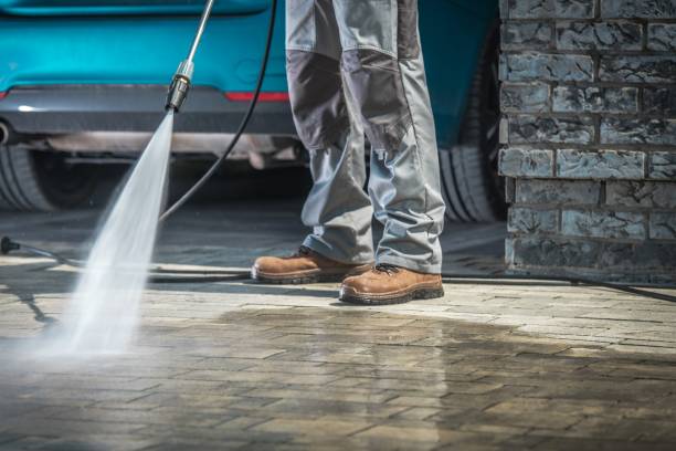 Best Spring Cleaning  in Warm Mineral Springs, FL