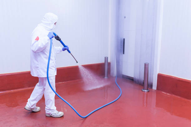 Best House Exterior Washing  in Warm Mineral Springs, FL