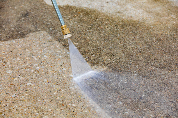 Best Building Exterior Washing  in Warm Mineral Springs, FL