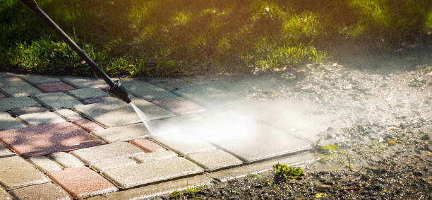 Best Driveway Pressure Washing  in Warm Mineral Springs, FL